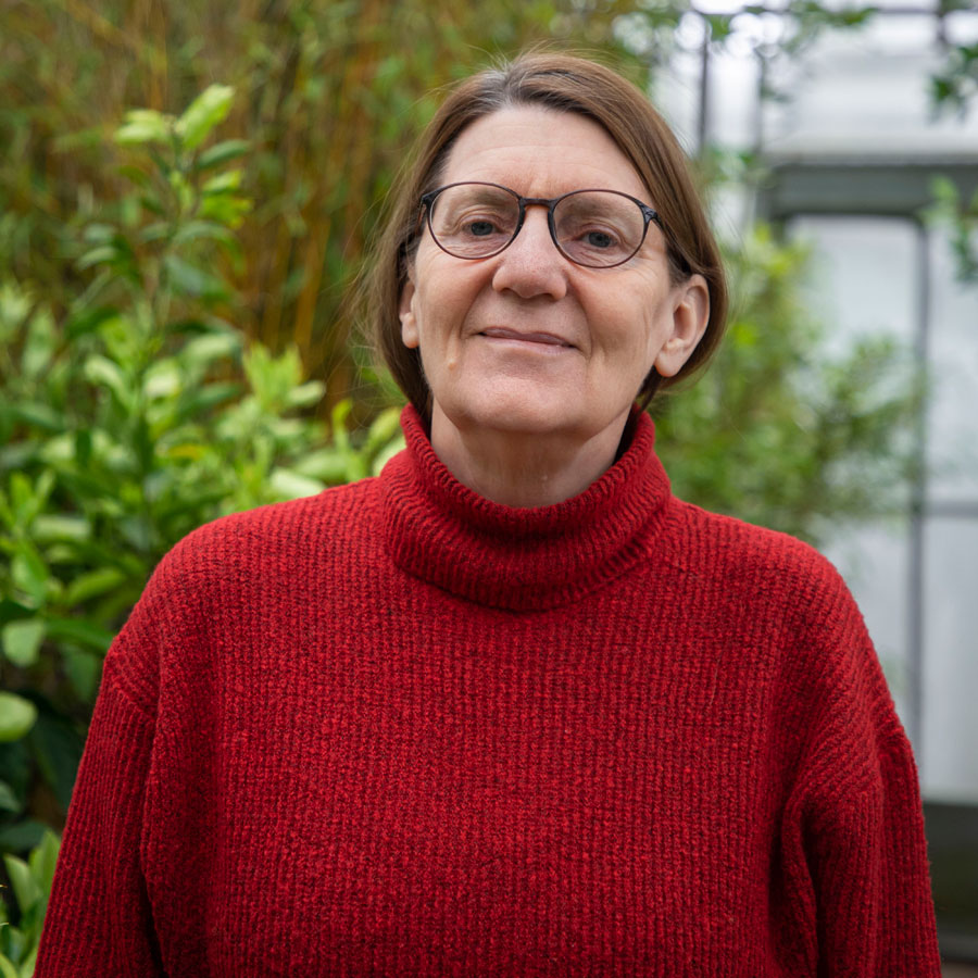 Marianne Niederlechner